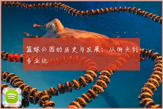 篮球公园的历史与发展:从街头到专业化
