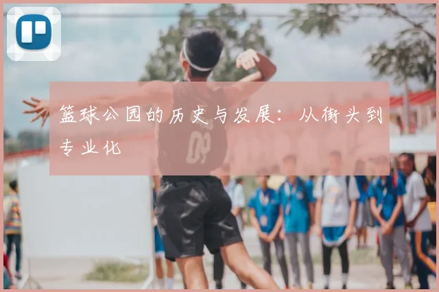篮球公园的历史与发展:从街头到专业化